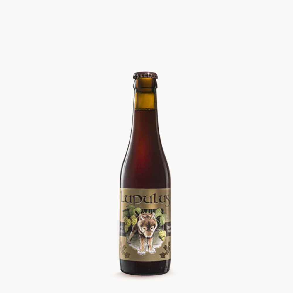 Lupulus-Brune-33cl garrafa Cerveja artesanal belga Lupulus Brune 33 cl