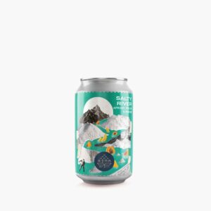 Lata cerveja artesanal portuguesa Rima Salty River Apricot & Mango Pastry Fruited Gose 33cl 33 cl